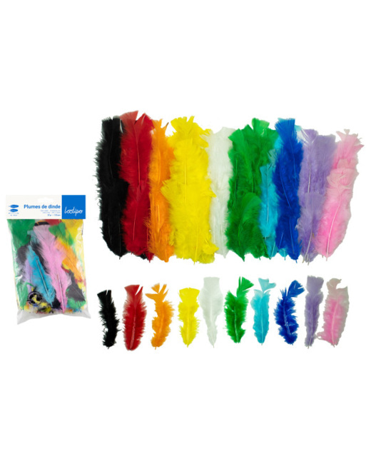 Plumes De Dinde