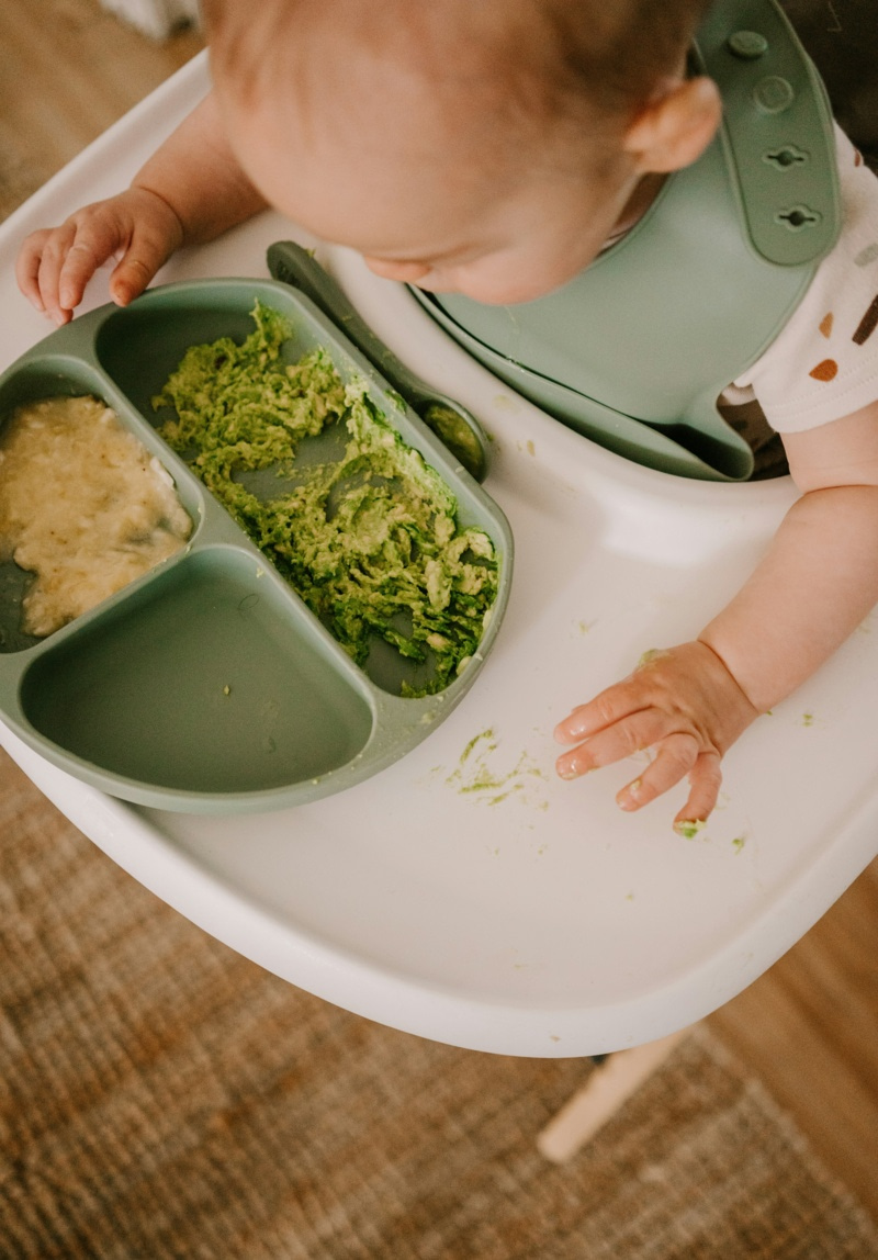 Bébé mangeant un repas maison dans sa chaise haute