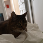 Lucie C.