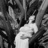 Carine-Sophie F.