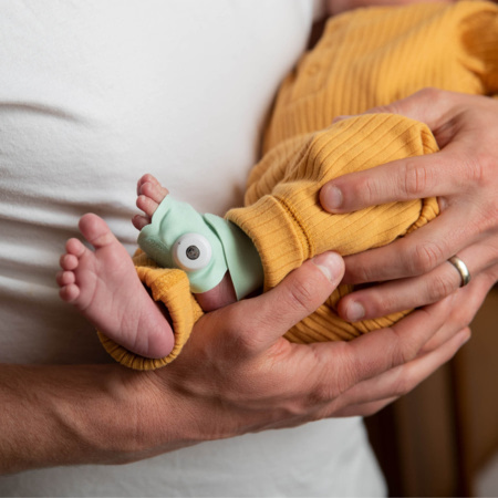 Avis Monitor Duo (Cam 2) OWLET CARE 2