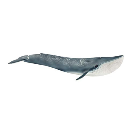 Avis Figurine Baleine bleue SCHLEICH 1