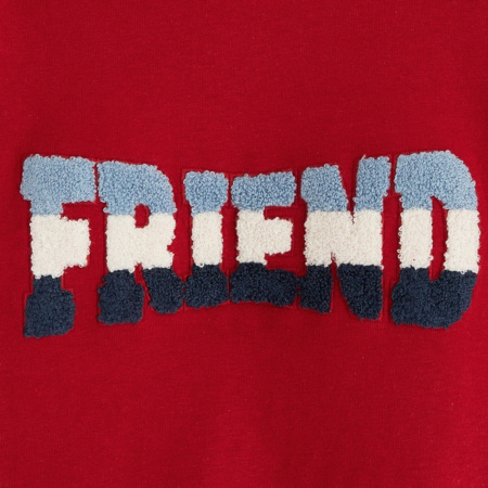 Avis T-shirt manches longues FRIEND rouge garçon OKAIDI 2