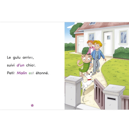 Avis Livre Un chiot adorable - Apprendre à lire avec Les Alphas ÉDITIONS RÉCRÉALIRE 2