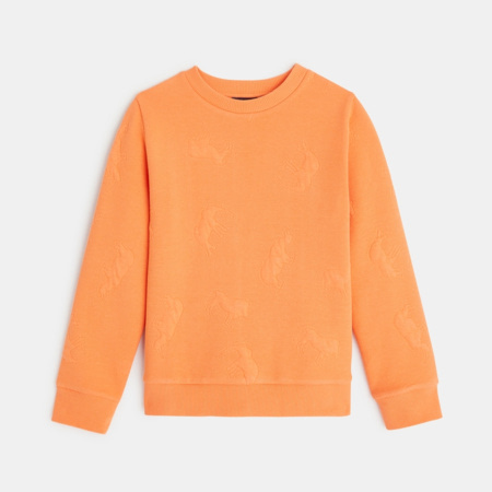 Pulls Vêtements Garçon | Okaïdi-Obaïbi