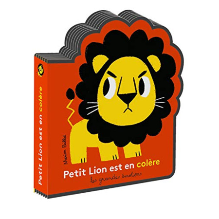 Avis Livre Petit Lion Est En Colere GALLIMARD JEUNESSE 1