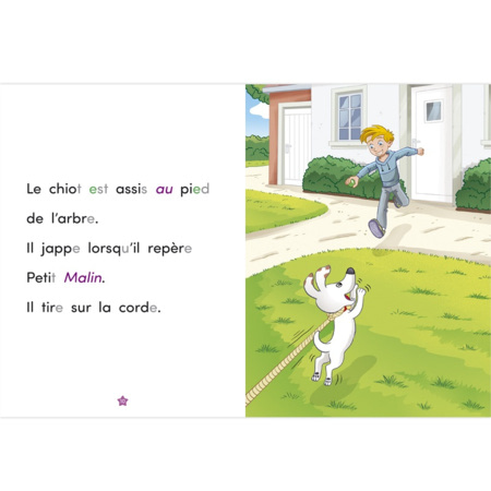 Avis Livre Un ami fidèle - Apprendre à lire avec Les Alphas ÉDITIONS RÉCRÉALIRE 2