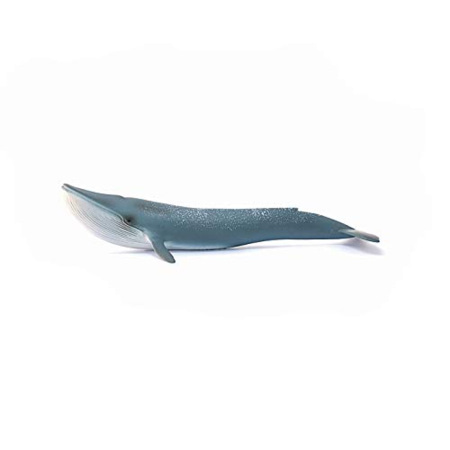 Avis Figurine Baleine bleue SCHLEICH 2