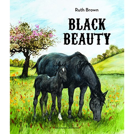 Avis Livre Black Beauty GALLIMARD JEUNESSE 1