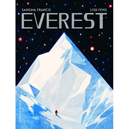 Avis Livre Everest GALLIMARD JEUNESSE 1