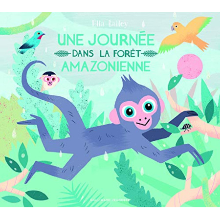 Avis Livre Une Journee Dans La Foret Amazonienne GALLIMARD JEUNESSE 1