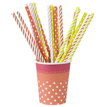 Avis Lot de 20 pailles fantaisie anniversaire en plastique Prémaman 1
