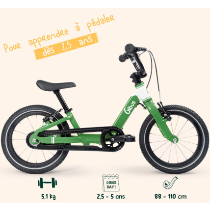 Avis Vélo 14 pouces Gibus Cycles 1