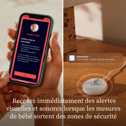 Avis Dream Duo Owlet Care 5
