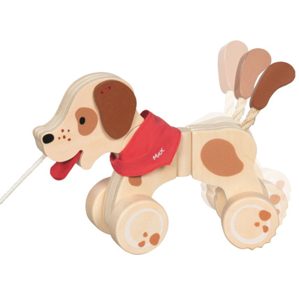 Avis Max le chien à tirer GOKI 1