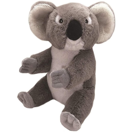 Avis ECOKINS KOALA WILD REPUBLIC 1