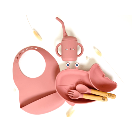Avis Gabin le Set repas malin - Baleine LES PETITS CITRONS 2