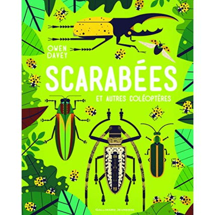 Avis Livre Scarabees Et Autres Coleopteres GALLIMARD JEUNESSE 1