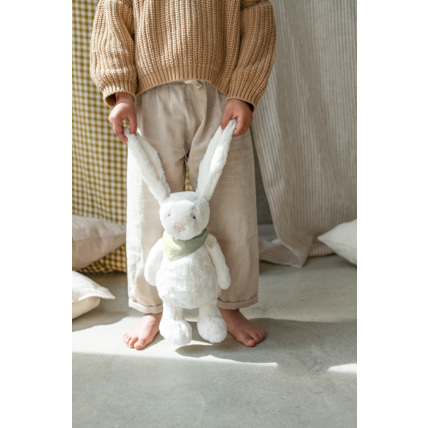 Avis Patrick le Lapin unique Petit Picotin 3