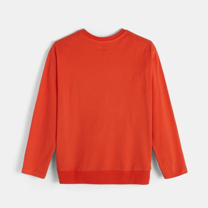 Avis T-shirt à sequins magiques orange garçon OKAIDI 2