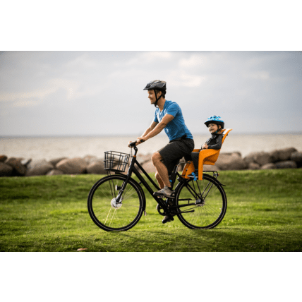 Avis Siège vélo enfant RideAlong Lite Thule 3