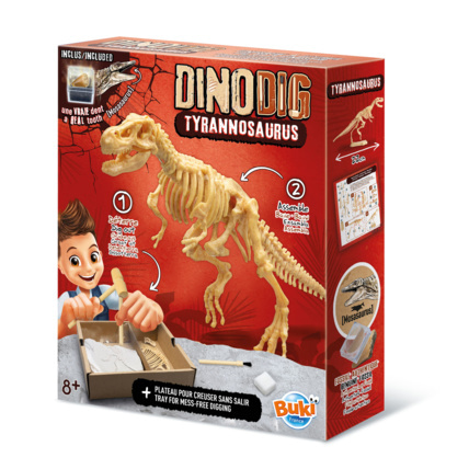 Avis Dino Dig T-Rex Buki France 1