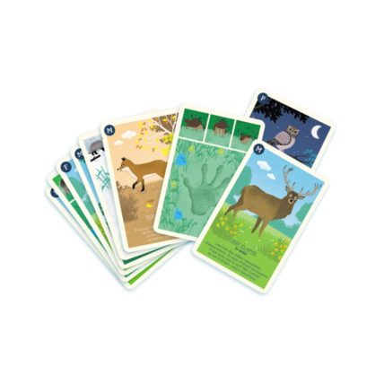 Avis Jeu nature - Les 9 familles de la forêt BIOVIVA 1