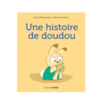Avis Livre Une histoire de doudou FLAMMARION 1