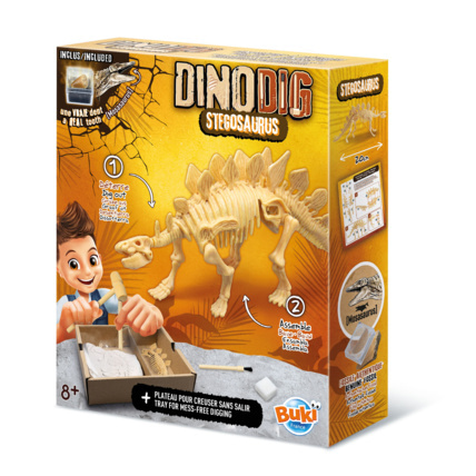 Avis Dino Dig Stegosaurus Buki France 1