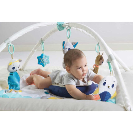 Avis Tapis Plush Gymini ultra-confort Tiny Love 5