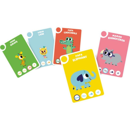 Avis Mon premier jeu de 5 familles EDITIONS AUZOU 1