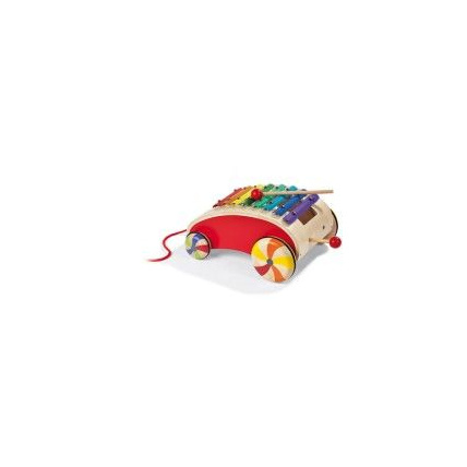 Avis Xylo roller JANOD 1