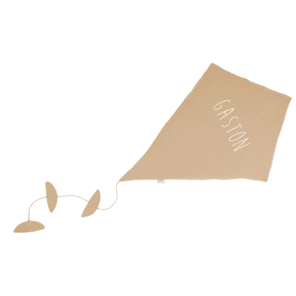 Avis Jean le cerf-volant Petit Picotin 4