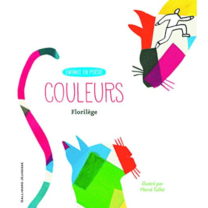 Avis Livre Couleurs GALLIMARD JEUNESSE 1