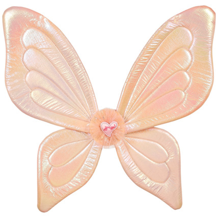 Avis Ailes Alessandra SOUZA 1