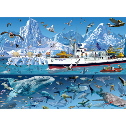 Avis Puzzle François Ruyer - Arctic - Bluebird Boat BLUEBIRD PUZZLE 1