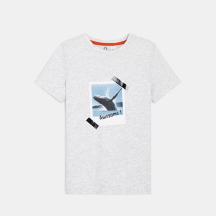 Avis T-shirt en coton biologique photo baleine blanc garçon OKAIDI 1