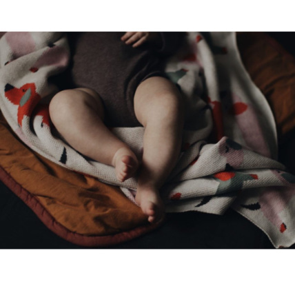 Avis Couverture pour bébé en coton bio, Teckel Sevira Kids 8