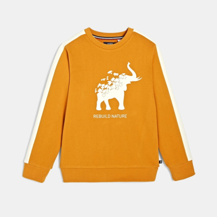 Avis Sweat tendance marron garçon OKAIDI 1