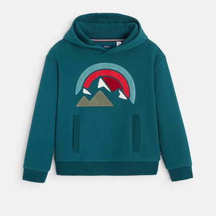 Avis Sweat-shirt à capuche motif bouclettes vert garçon OKAIDI 1