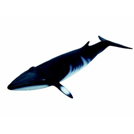 Avis Figurine Baleine franche SCHLEICH 1