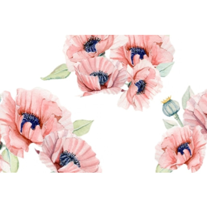 Avis Stickers coquelicots Mon Lit Cabane 1