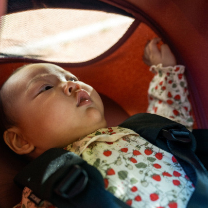 Avis Poussette YOYO⁵ 0+ Stokke 8