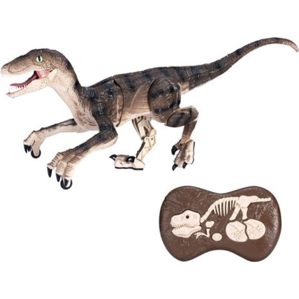 Avis Velociraptor radiocommandé TEAM CITY 1