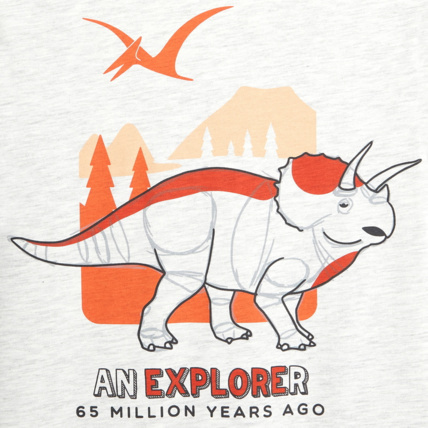 Avis T-shirt motif dinosaure en coton biologique orange garçon OKAIDI 2