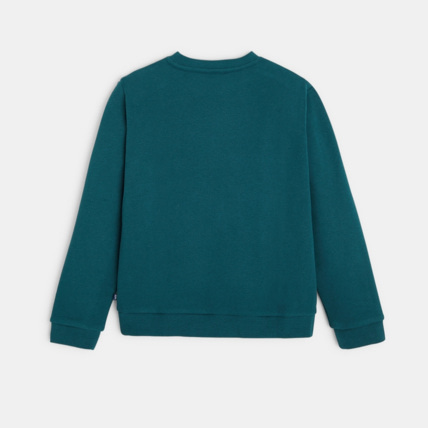 Avis Sweat-shirt de Noël motif sapin vert garçon OKAIDI 4