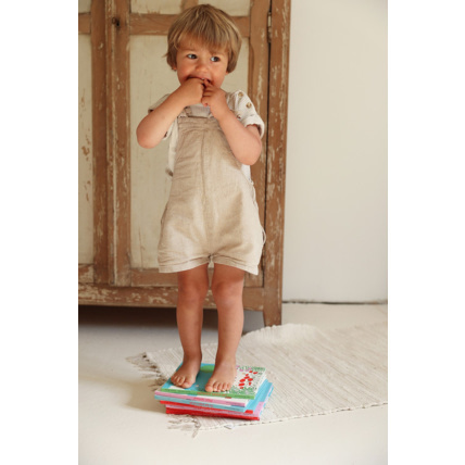 Avis Livre Ma maison Petit Picotin 2