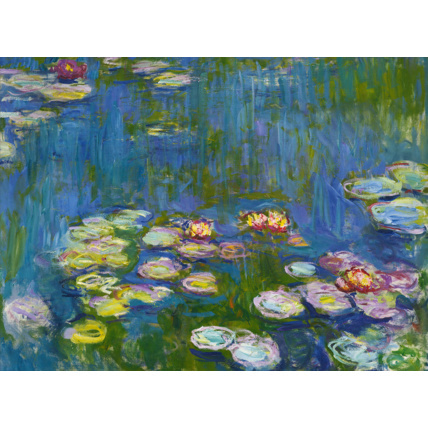 Avis Puzzle Claude Monet - Nymphéas BLUEBIRD PUZZLE 1