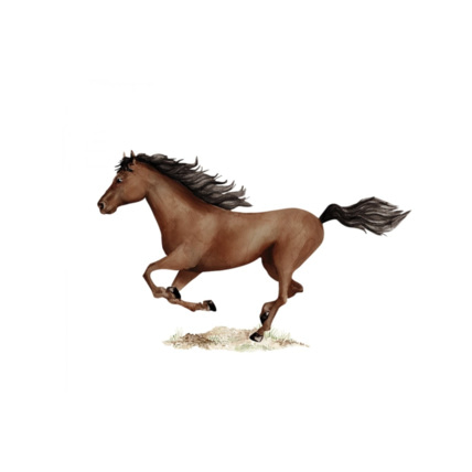 Avis Sticker cheval Mon Lit Cabane 7