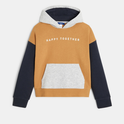 Avis Sweat-shirt à capuche à message marron garçon OKAIDI 2